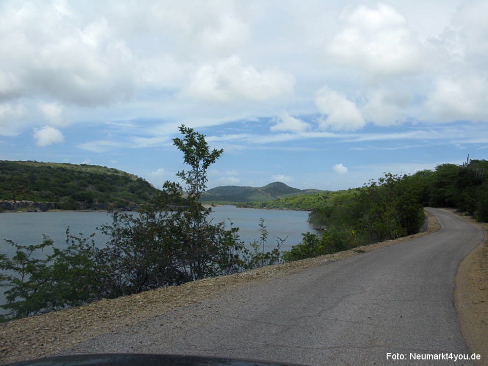 0037 Insel Bonaire 2009